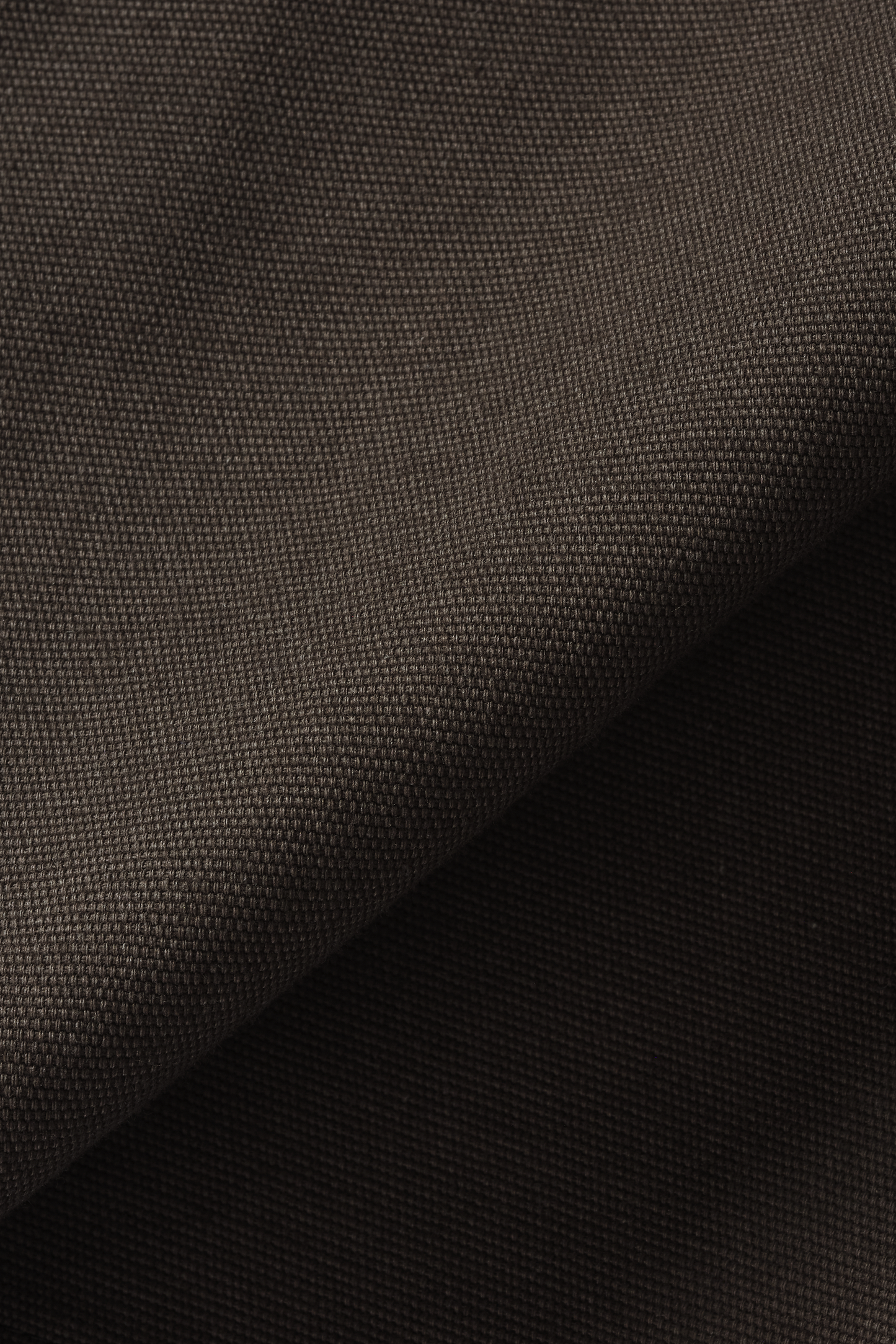 Duck Canvas Bermuda Shorts in Sage